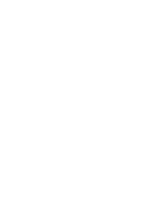 Опыт работы